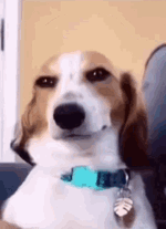 1777969511345.gif