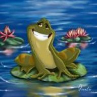 Steve The Frog