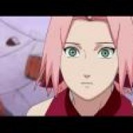 SakuraCherryBlossom