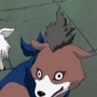 Caninja