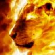 LionsDescent