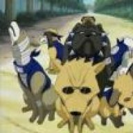 Ninjadog
