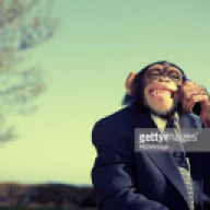 Monkeyweeb