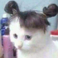 KoreaBro