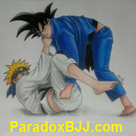 ParadoxBJJ
