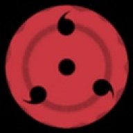 13340306
