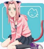 sakura12345678