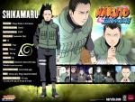 shikamaruking