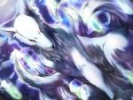 ShiroOkami