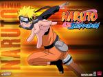 FireKage