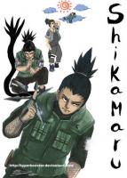shikaguy