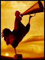 Mike Hawk