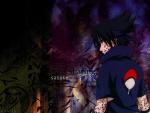 Sasuke Chidori