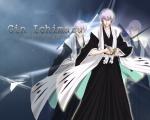 Gin Ichimaru