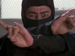 Shinobi Sho Kosugi