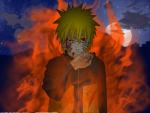 Kyuubi Sensei