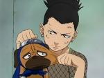 Shikamaruoftheshadows