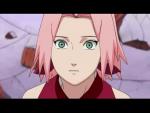 SakuraCherryBlossom