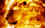 LionsDescent