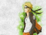 Orange Hokage oF Leaf