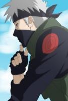 The Copycat Ninja