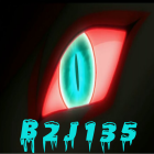 b2j135