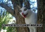 Scoutcat