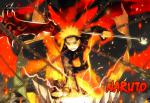 The ANBU
