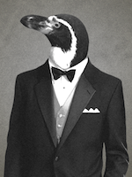 Tuxedo Penguin