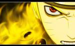 pravid