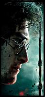 HarryJamesPotter