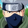 GreyBrawler401