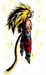 SaiyanNinja