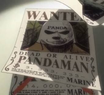 Panda Man