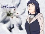 hinatauzmaki