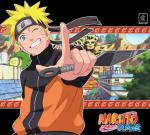 9tailed