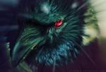 Karasu13