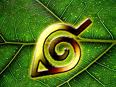 uzumaki81