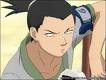 Shikamaru67