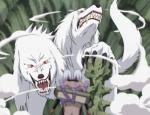 Wolf fang over fang