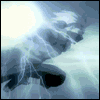 Kakashi1989