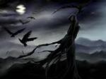 Nightshroud20