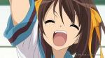 Taiga