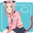 sakura12345678