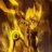 phoenix01