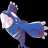Kyogre