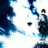 sasugray