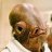 Admiral Ackbar