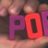 The Poet