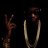2Chainz